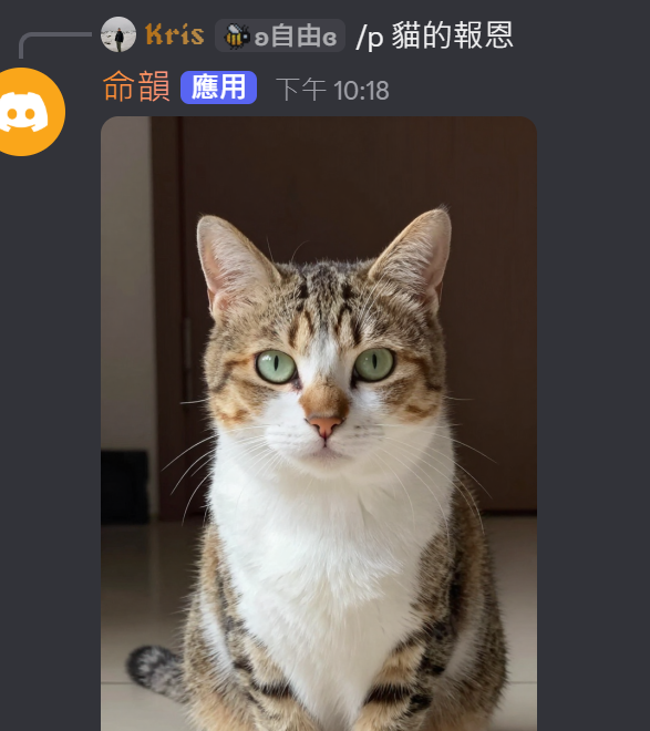 完整 Discord 互動截圖，顯示使用者明確呼叫命韻並提交貓咪復仇主題的圖片生成請求，以及命韻回覆生成圖片